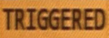 triggered.jpg