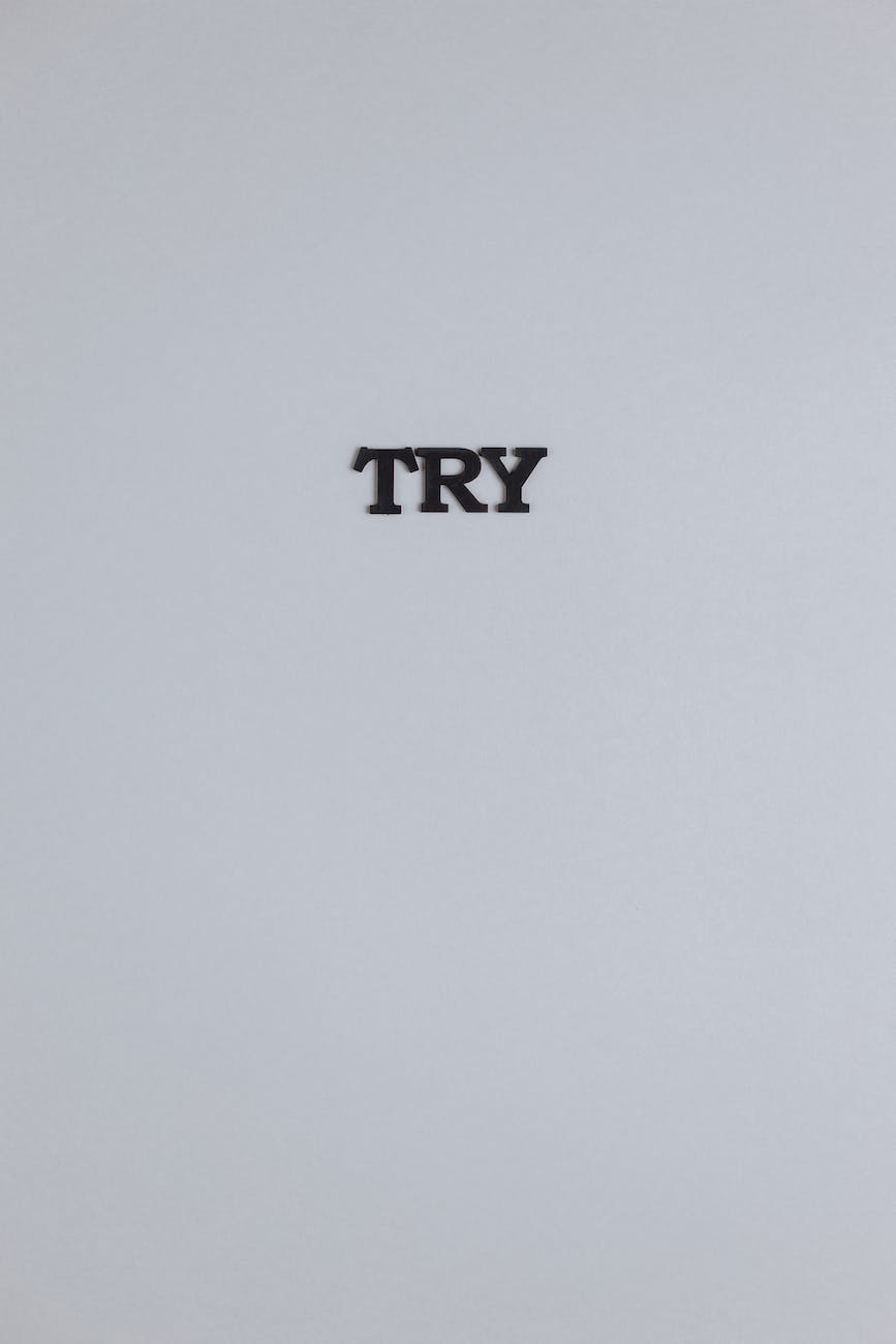 Sometimes All You Can Do Is&nbsp;Try