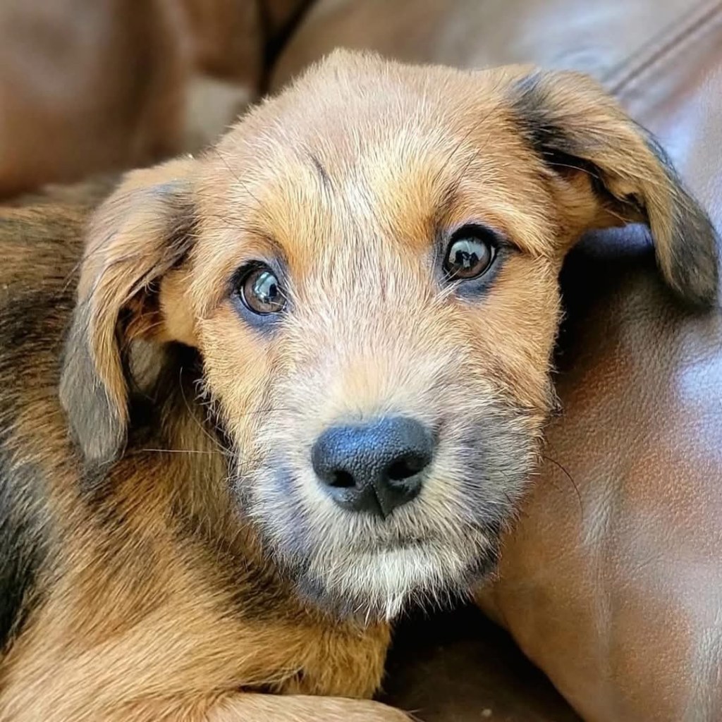 There’s Levels To This